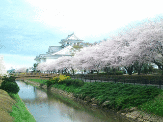 亘理城の画像