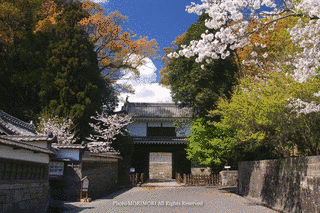 宮崎県の城の画像