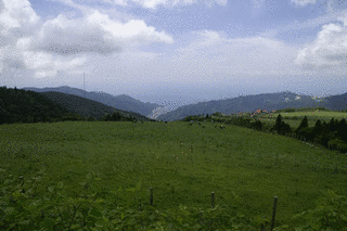 高原城の画像