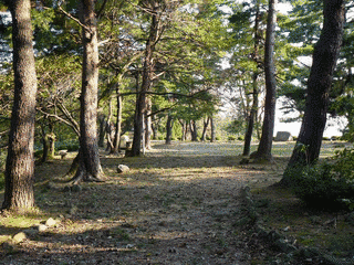 宮崎城の画像