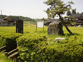 安養寺城の画像