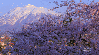 岩木城の画像
