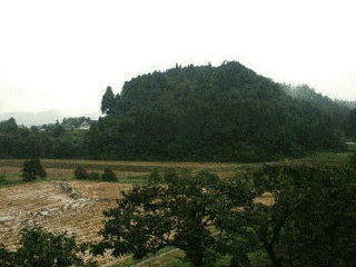 上見城の画像