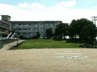 大峪城の画像