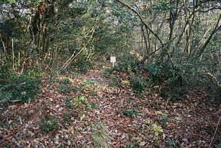 長沢西城の画像