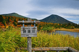 蓮沼城の画像