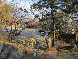 矢田城の画像