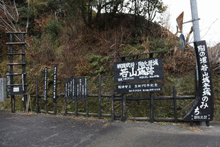 若山城の画像