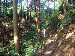 朝日山城の画像