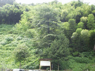 小国城の画像