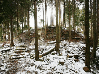 山辺城の画像