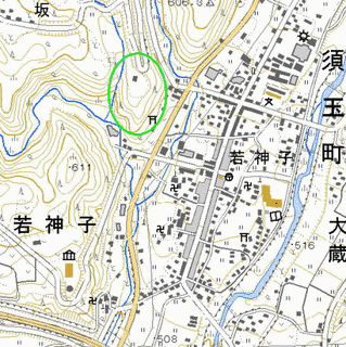 若神子城の画像