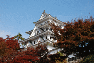 郡上八幡城の画像