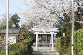 十九条城の画像