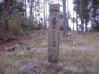 鉈尾山城の画像
