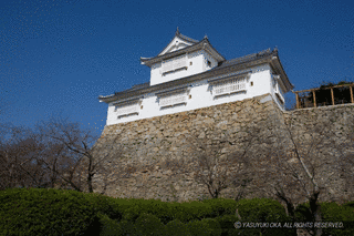 津山城の画像