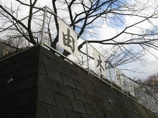 保木城の画像