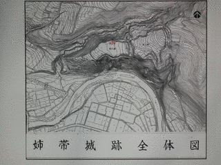 姉帯城の画像