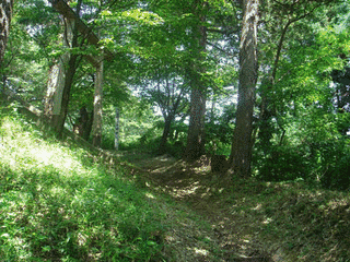 一戸城の画像
