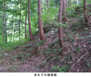 寺林城の画像