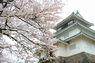 長岡館の画像
