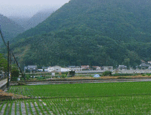 鳶ヶ巣城の画像