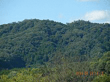 二ッ山城の画像