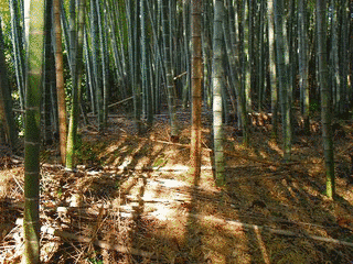 御薗宇城の画像