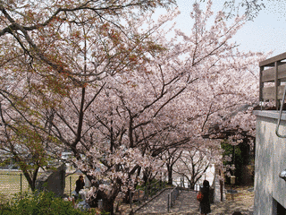 牛岐城の画像