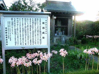 板西城の画像