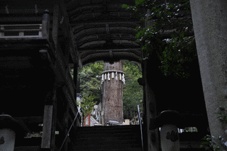 由岐城の画像