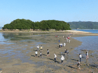 甘崎城の画像