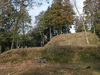 川後森城の画像