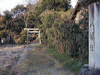 入尾城の画像