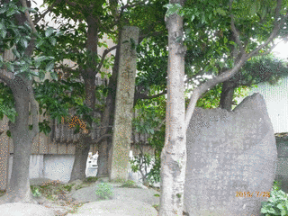 大赤見城の画像