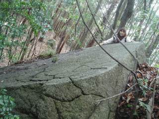 鶏足城の画像