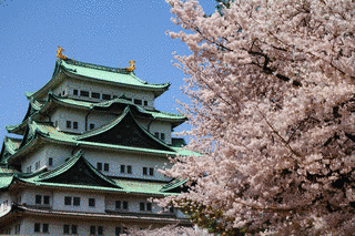桜城の画像