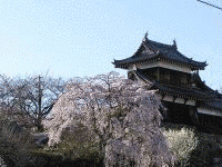 下奈良城の画像