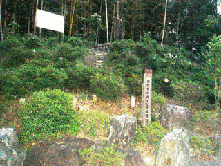新城城の画像
