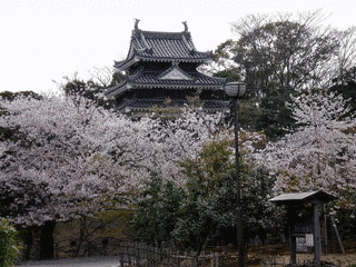 西尾城の画像