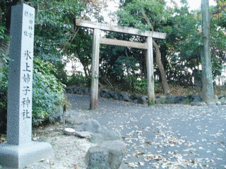 氷上砦の画像