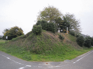 牧野城の画像