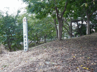 蔵王堂城の画像