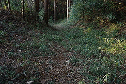 勝沼城の画像