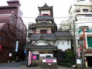 大宮城の画像
