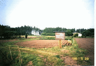 岡本城の画像