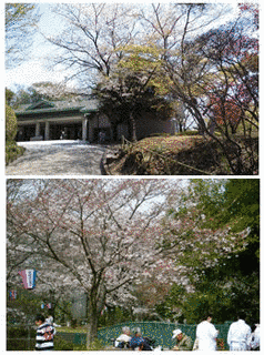 烏山城の画像