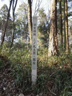 羽生田城の画像
