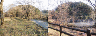 堀江山城の画像