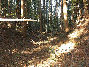 松ヶ嶺城の画像